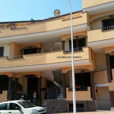 Cavalluccio Marino Castelsardo