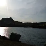 Cavalluccio Marino