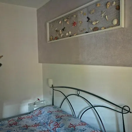 Cavalluccio Marino * 카스텔사르도