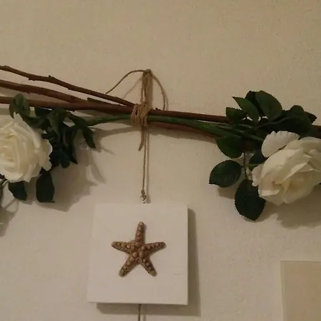 Cavalluccio Marino * 카스텔사르도