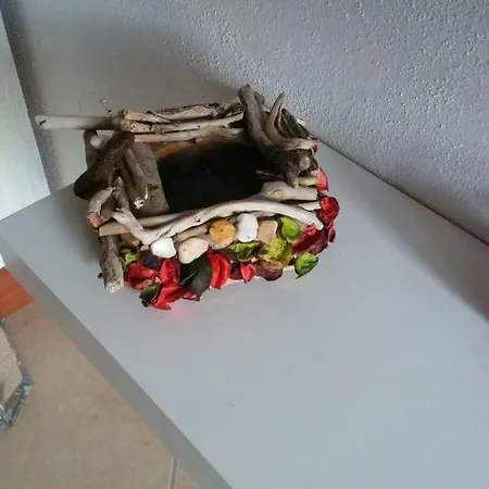 Cavalluccio Marino * 카스텔사르도