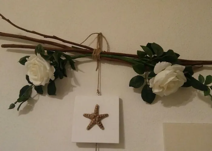 Cavalluccio Marino * 卡斯特尔萨多