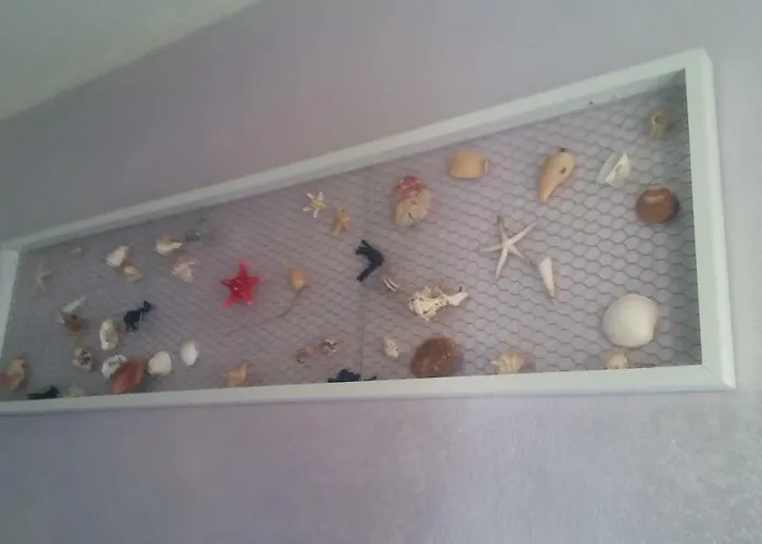 公寓 Cavalluccio Marino 卡斯特尔萨多